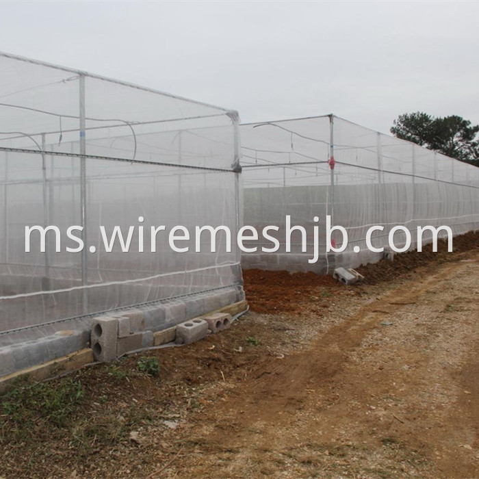 Fine Insect Mesh Netting